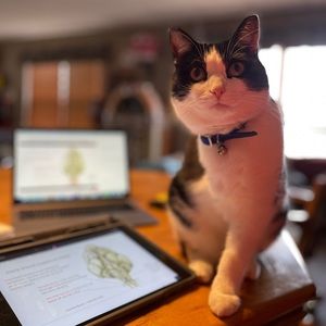 SCRUBS- Grey’s Anatomy